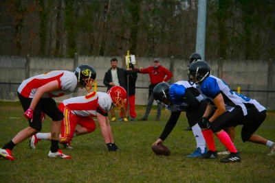 image de couverture de l'article