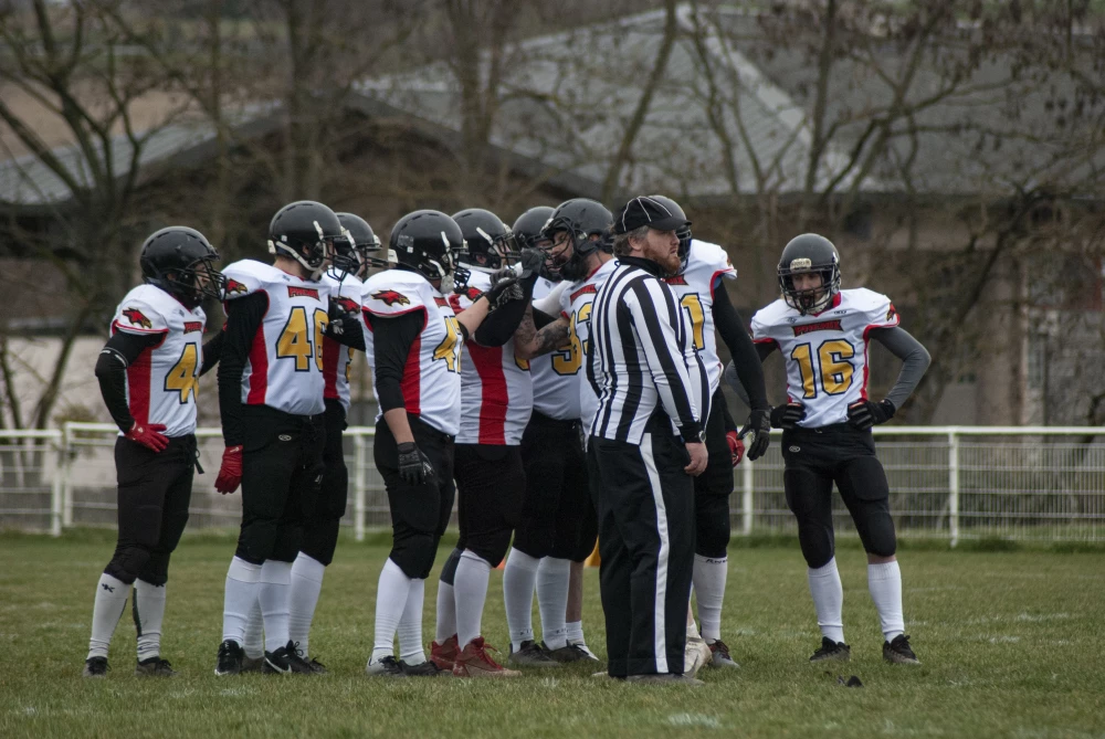 Image de couverture de l'article