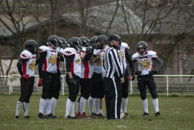 image de couverture de l'article