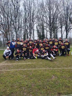 image de couverture de l'article