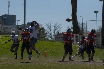 image de couverture de l'article