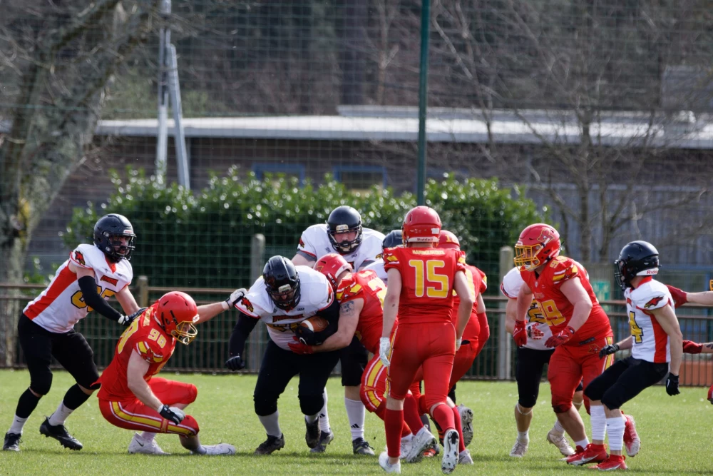 Image de couverture de l'article