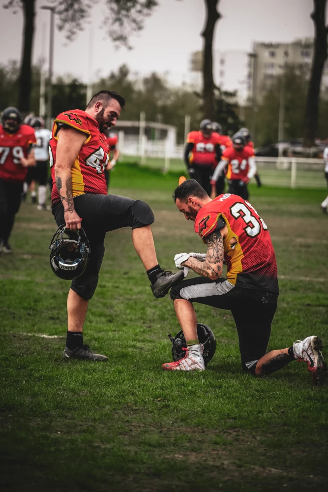 Image de couverture de l'article