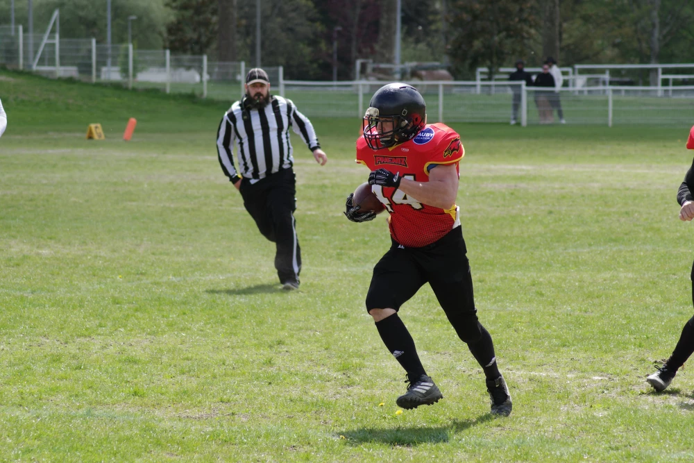 Image de couverture de l'article