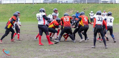 image de couverture de l'article